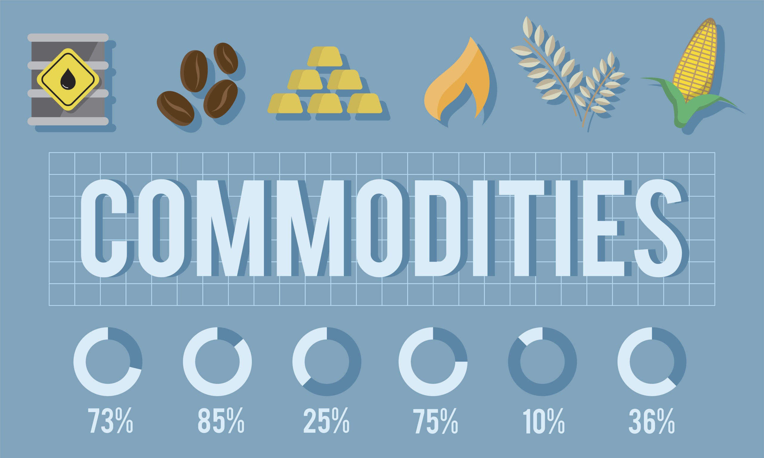 what is commodity