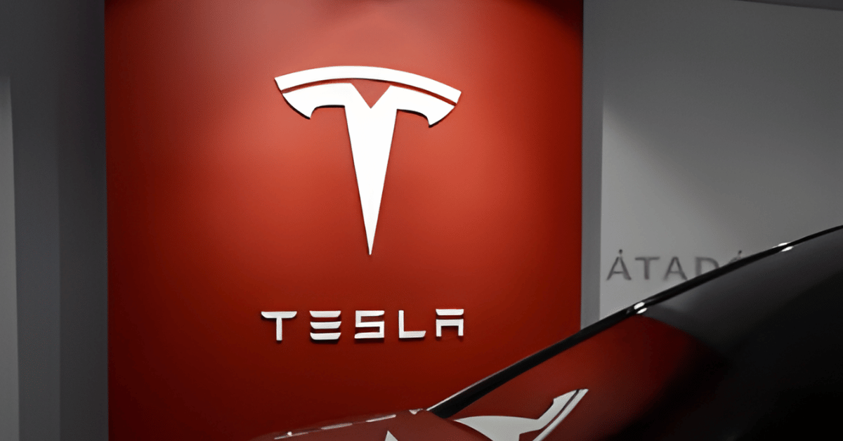 Tesla Investment Plan in India